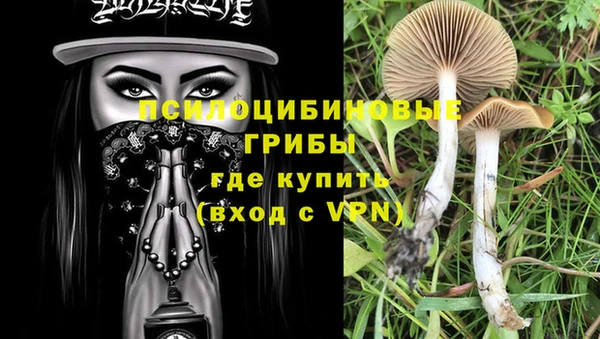 ешки Волоколамск