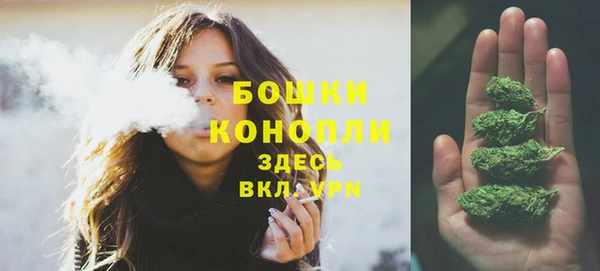сатива Волосово