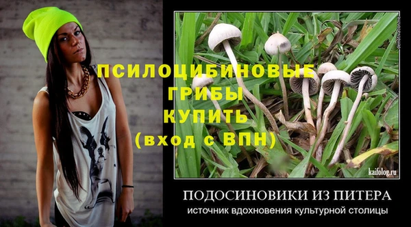 сатива Волосово