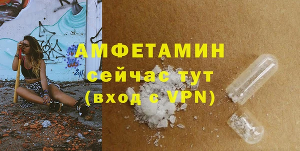 сатива Волосово