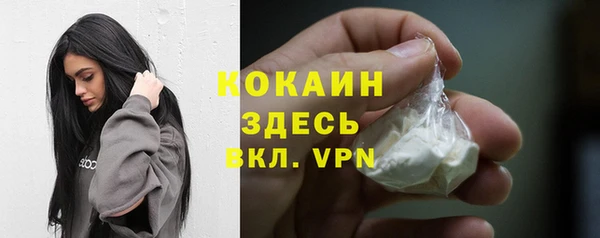 сатива Волосово