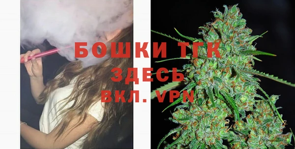 сатива Волосово